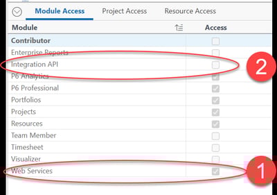 P6 Cloud Module Access